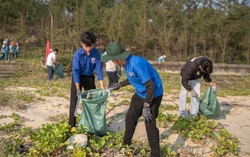 Đà Nẵng: Hơn 160 tình nguyện viên thu gom rác, hưởng ứng Ngày quốc tế Không rác thải