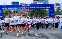 Hơn 2.000 người chạy lan tỏa thông điệp tiết kiệm năng lượng 2026