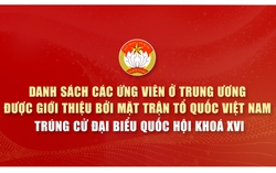 Danh sách các ứng viên ở Trung ương được giới thiệu bởi MTTQ Việt Nam trúng cử đại biểu Quốc hội khóa XVI