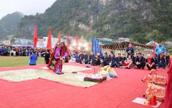 Sôi nổi lễ hội chọi bò ở miền núi Cao Bằng