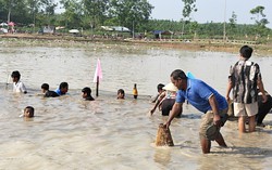 Phát huy giá trị di sản văn hóa truyền thống Lễ hội Phá Bàu