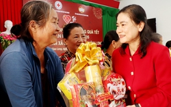 Chủ tịch Hội Chữ thập đỏ Việt Nam Đỗ Thị Thu Thảo trúng cử đại biểu Quốc hội khóa XVI