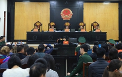 Luật sư phân tích các chi tiết đáng chú ý trong vụ án tại sân bay Nha Trang cũ