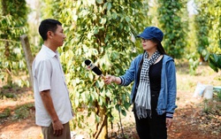 Kênh VTV2 ra mắt loạt chương trình mới