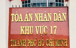 Viện kiểm sát đề nghị sửa bản án vụ tòa xác nhận cha con nhưng không cho cha nuôi con