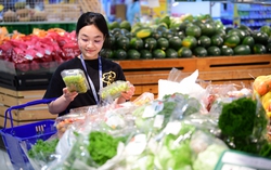 581 doanh nghiệp đạt danh hiệu Hàng Việt Nam chất lượng cao năm 2026