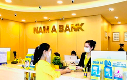 Thanh tra chỉ ra nhiều hạn chế trong hoạt động tín dụng tại chi nhánh của NamABank