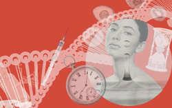 Phụ nữ thúc đẩy ngành công nghiệp kéo dài tuổi thọ