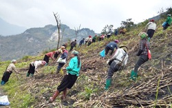 Lan tỏa tinh thần tương thân tương ái trong hội viên phụ nữ Cao Bằng