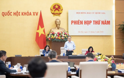 500 đại biểu Quốc hội khóa XVI được xác nhận đủ tư cách