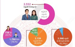 Tỉ lệ nữ trúng cử đại biểu HĐND cấp tỉnh đạt 29,7%