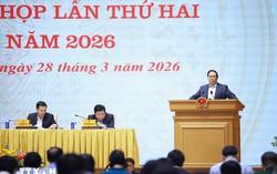 Thủ tướng chủ trì họp Ban Chỉ đạo về phát triển khoa học, công nghệ, chuyển đổi số