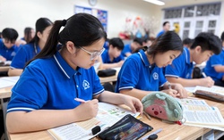 Không được ép buộc khi thực hiện phân luồng, hướng nghiệp cho học sinh