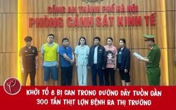Khởi tố 8 bị can trong đường dây tuồn gần 300 tấn thịt lợn bệnh ra thị trường