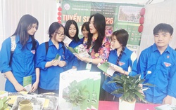 Lạng Sơn khơi thông “điểm nghẽn” việc làm cho lao động miền núi