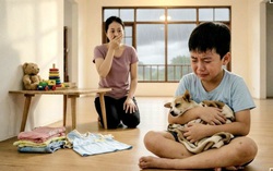 Chỉ muốn làm em gái