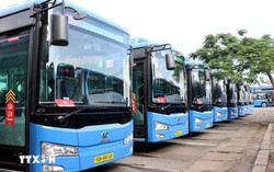 TPHCM miễn vé metro, vé xe buýt cho người dân đi bầu cử