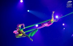 Xiếc Việt xuất sắc giành 3 giải thưởng tại Liên hoan Xiếc quốc tế Con voi Vàng