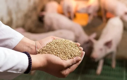 Doanh nghiệp, hiệp hội chung tay giữ nhịp sản xuất nông nghiệp