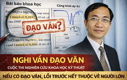 Nếu có đạo văn ở cuộc thi nghiên cứu khoa học kỹ thuật, lỗi thuộc về người lớn
