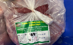 Vụ 300 tấn lợn bệnh: Nhà trường không thể nhận mình là “nạn nhân"