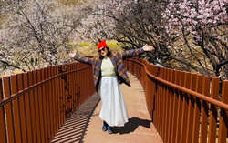 NSND Mỹ Uyên ngất ngây trước mùa hoa đào bên rặng Tuyết Sơn