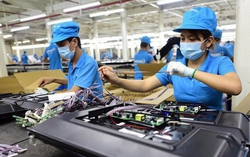 Tăng "lá chắn" pháp lý cho doanh nghiệp nhỏ và vừa