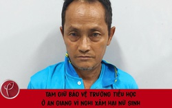 Tạm giữ bảo vệ trường tiểu học ở An Giang vì nghi xâm hại nữ sinh