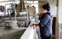 Thắp lên hy vọng sau trận lũ dữ