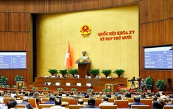 Đưa Luật Trí tuệ nhân tạo vào cuộc sống: Lập khung quản trị toàn diện cho AI