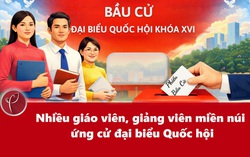 Nhiều giáo viên, giảng viên miền núi ứng cử đại biểu Quốc hội khóa XVI