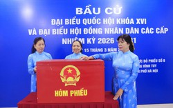 Tự hào được góp sức trong "Ngày hội non sông"