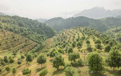 Thủ tướng: Cần biến núi rừng Tây Bắc trùng điệp thành của cải vật chất