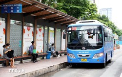 TPHCM chủ trương miễn phí xe buýt cho người dân
