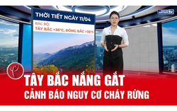 Bản tin thời tiết ngày 11/4: Nắng gắt kéo dài, Tây Bắc chạm 38 độ C