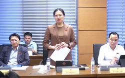 Cần ưu tiên đầu tư hạ tầng, nhân lực cho vùng dân tộc thiểu số và miền núi