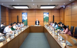 Bình đẳng giới: Phải thực chất, không chỉ là con số