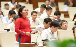 Dự thảo Luật sửa đổi, bổ sung Luật Trợ giúp pháp lý: Cần lồng ghép bình đẳng giới và bảo vệ phụ nữ, trẻ em