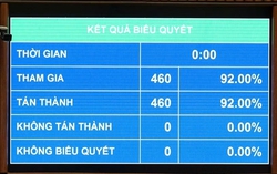 Quốc hội thông qua Nghị quyết miễn thuế với xăng dầu đến hết 30/6