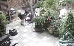 Nguyên nhân vụ chồng túm tóc, kéo lê vợ từ cổng vào nhà, hành hung trước mặt con nhỏ