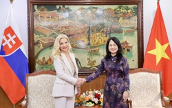 Việt Nam - Slovakia tăng cường hợp tác trong lĩnh vực văn hóa