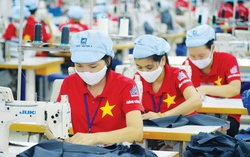 Dự báo nhu cầu tuyển dụng lao động ngành may mặc tiếp tục tăng cao
