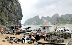 Tạm giữ, tịch thu tang vật một số hộ nuôi thủy sản trái phép trên vịnh Hạ Long