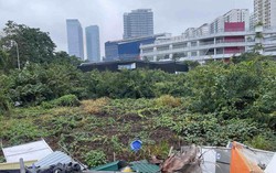 Hà Nội rà soát 341 dự án chậm triển khai: Các pháp nhân Nam Cường xuất hiện nhiều lần