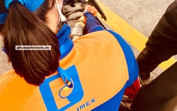 Petrolimex công bố thông tin bất thường về nguy cơ phải rời sàn