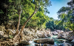 Viết tiếp giấc mơ đổi đời từ du lịch giữa đại ngàn Ba Hồ