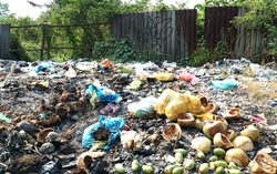 TPHCM: Quyết tâm xóa các "điểm đen" rác thải trên trục đường Nguyễn Văn Linh
