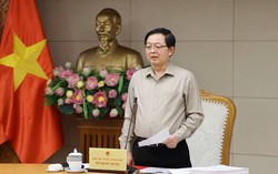 Rà soát, tiếp tục cắt giảm tối thiểu 30% các ngành nghề kinh doanh có điều kiện