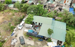 Phát hiện 3 xưởng sản xuất giá đỗ dùng chất cấm, thu giữ hơn 12 tấn sản phẩm