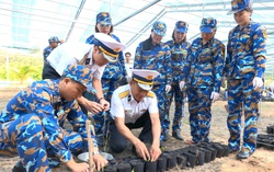 Vùng 4 Hải quân nhân giống 30.000 cây trồng để "Xanh hóa Trường Sa"